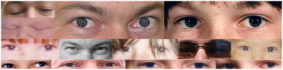 eyes
